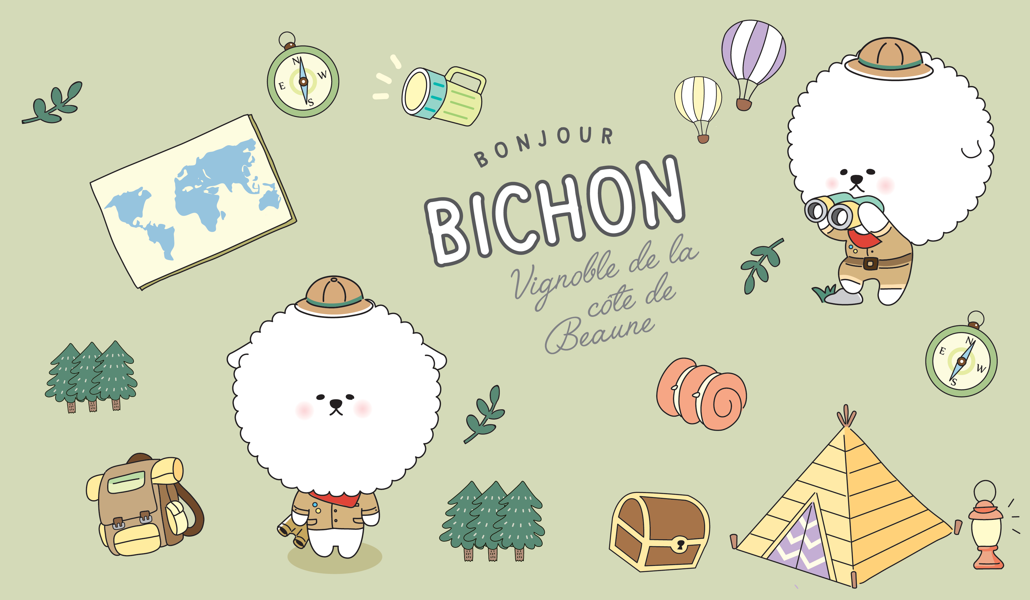 Bichon